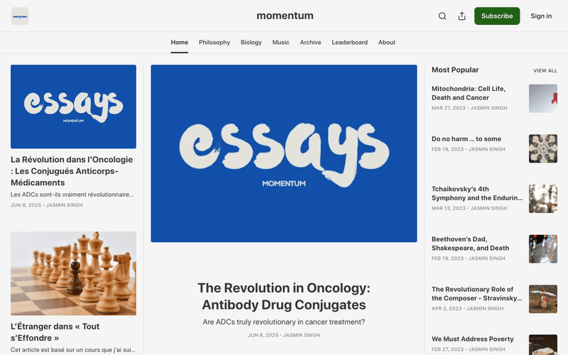 momentum newsletter preview