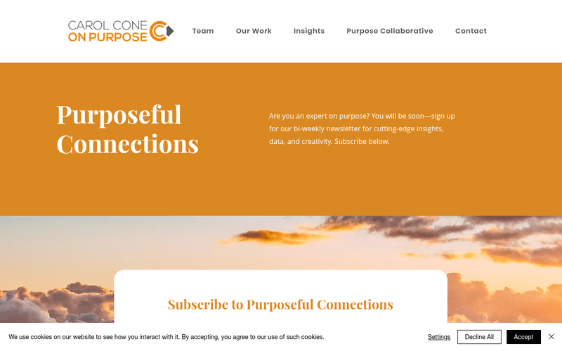 Purposeful Connections newsletter preview